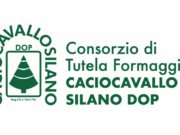 Caciocavallo Silano DOP: il Consorzio che custodisce la tradizione e guida l’innovazione del formaggio simbolo del Sud