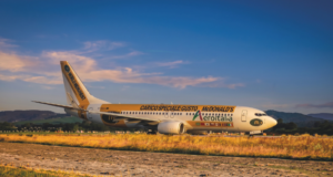McDonald’s vola con Aeroitalia sul Boeing 737-800 Mc Donald's vola con Aeroitalia